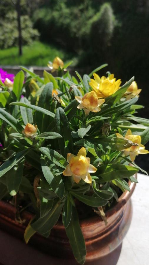 Italaforesteria 호텔 Lavone 외부 사진